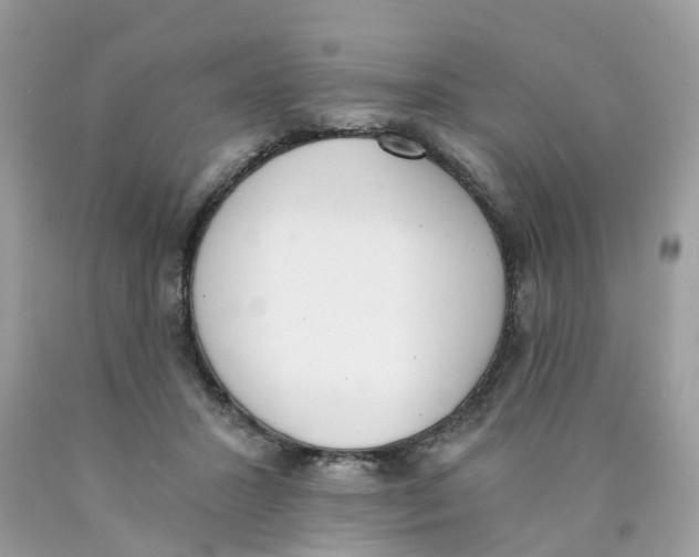 X0000089830407200707262028