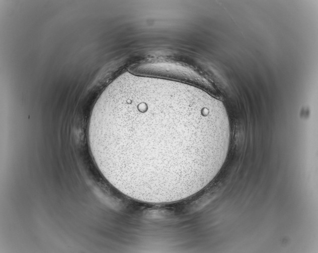 X0000089830408200707262028