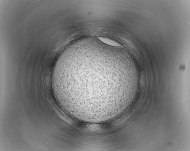 X0000089830409200707262028