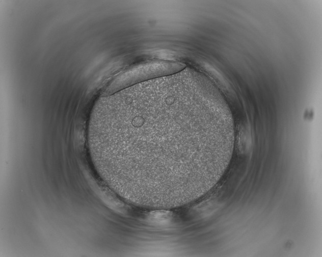 X0000089830410200707262028