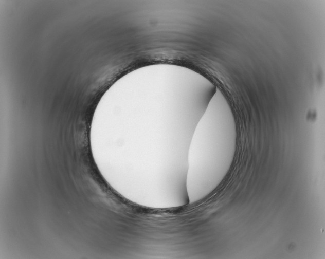 X0000089830411200707262028