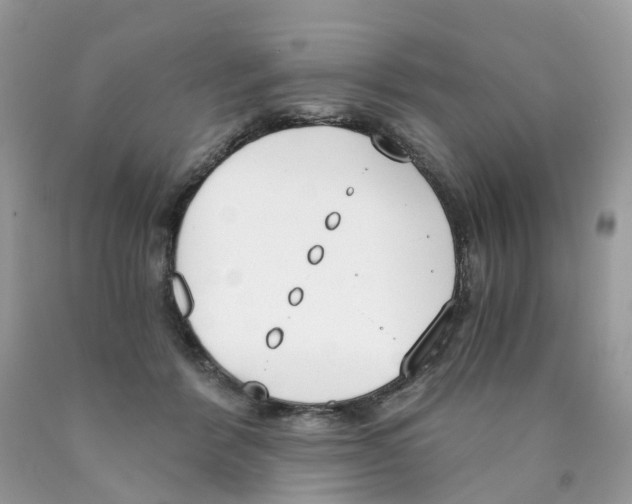 X0000089830412200707262028