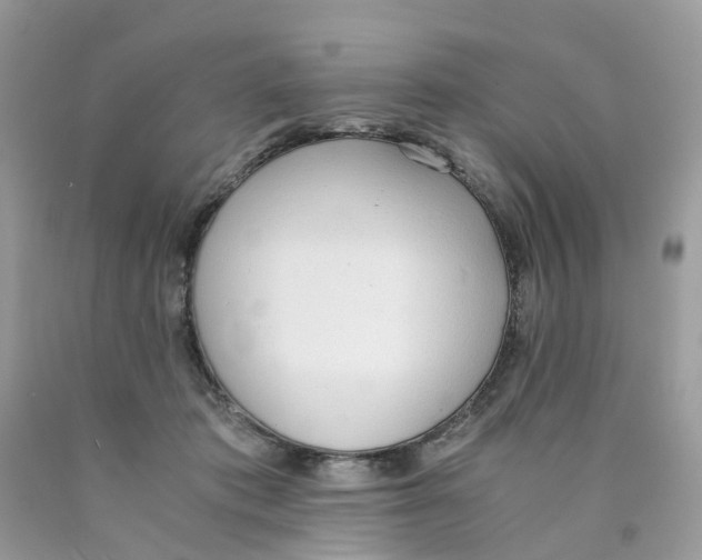 X0000089830413200707262028