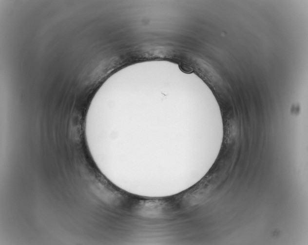 X0000089830414200707262028