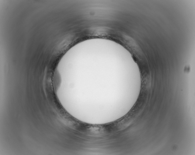 X0000089830415200707262028