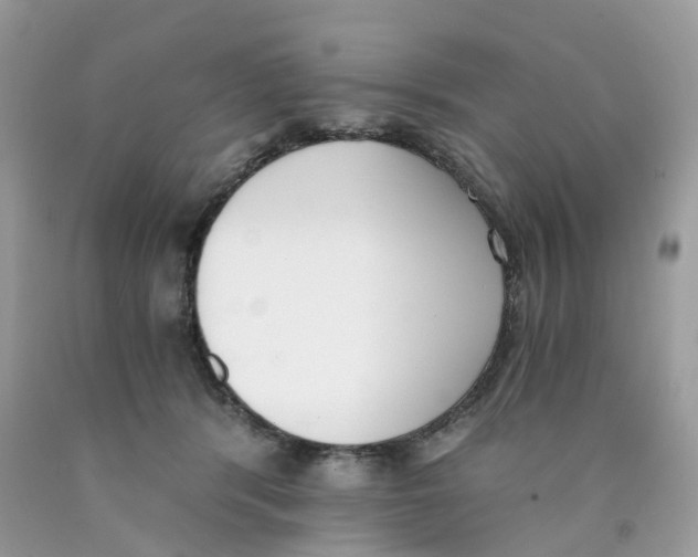 X0000089830416200707262028