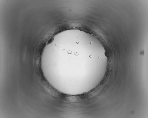 X0000089830417200707262028