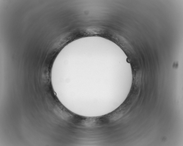 X0000089830418200707262028