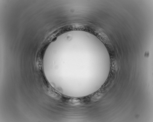 X0000089830419200707262028