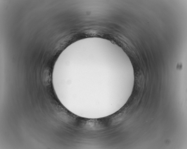 X0000089830420200707262028