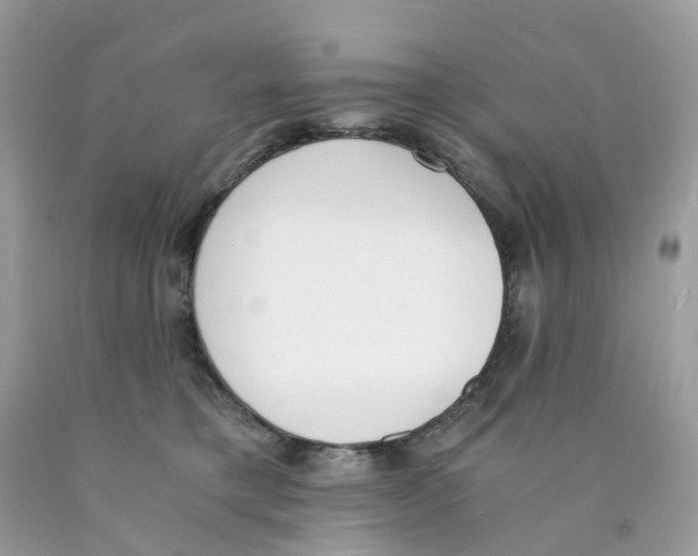 X0000089830421200707262028