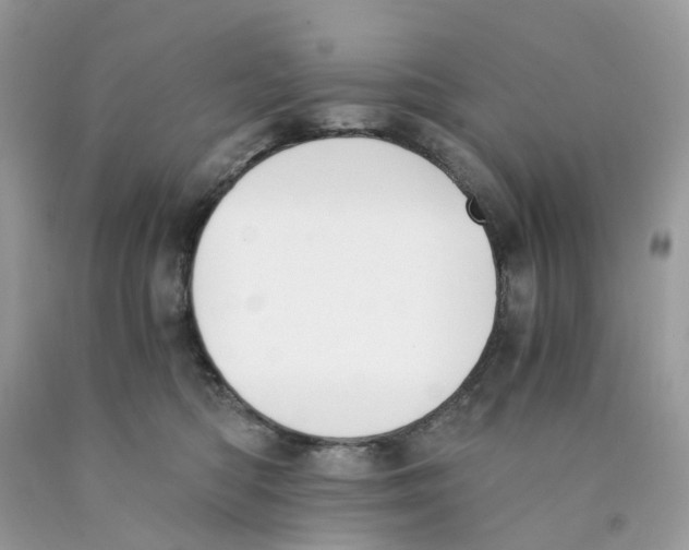 X0000089830422200707262028
