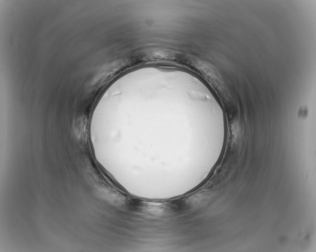 X0000089830423200707262028