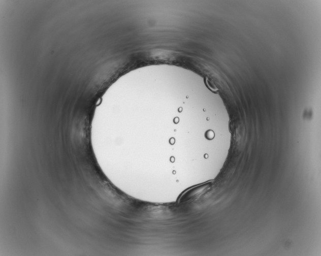 X0000089830424200707262027