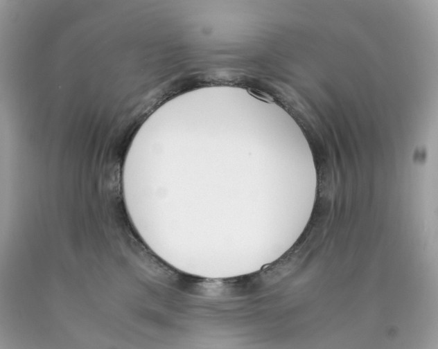 X0000089830425200707262027