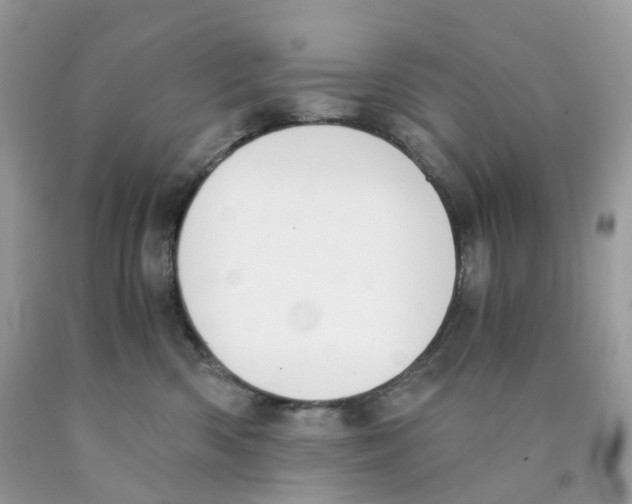 X0000089830426200707262027