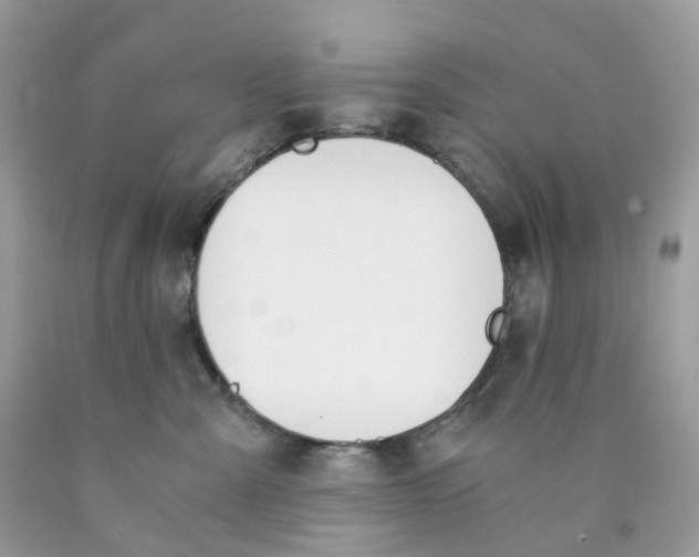 X0000089830427200707262027