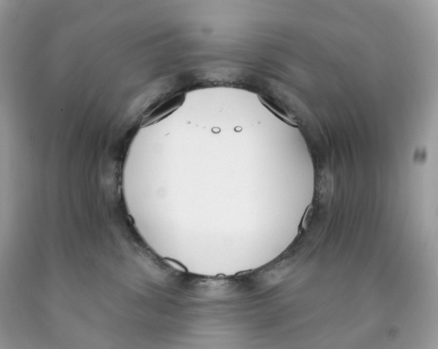 X0000089830428200707262027