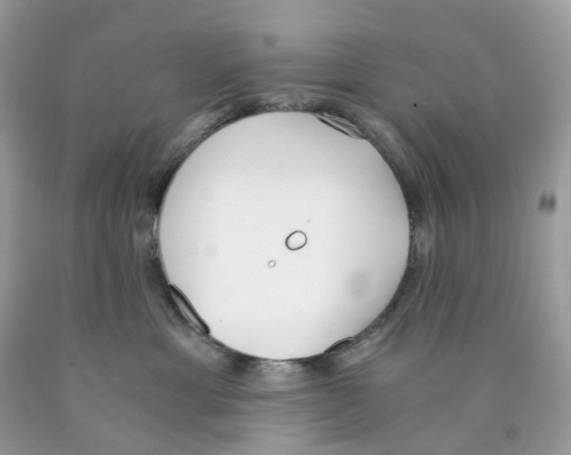 X0000089830429200707262027