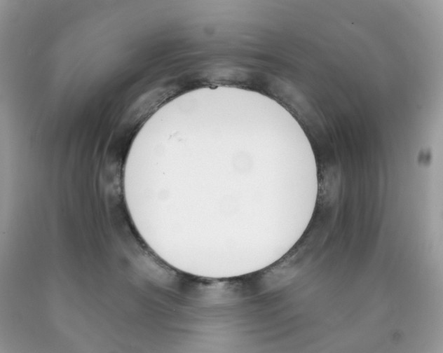X0000089830430200707262027
