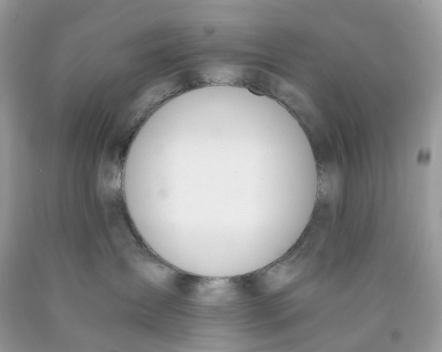 X0000089830431200707262027
