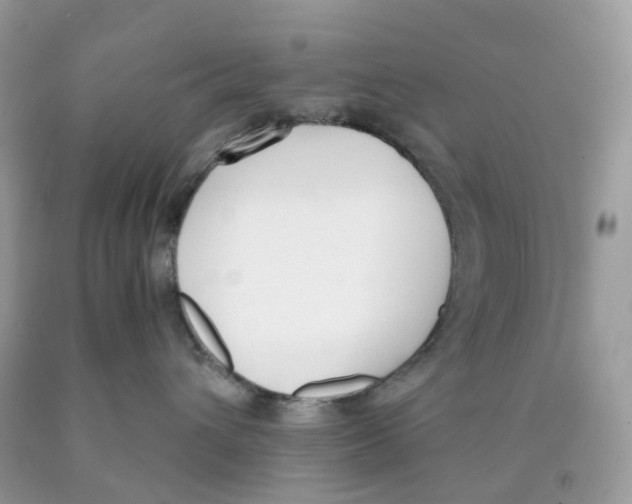 X0000089830432200707262027