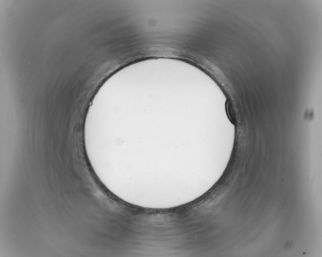X0000089830433200707262027