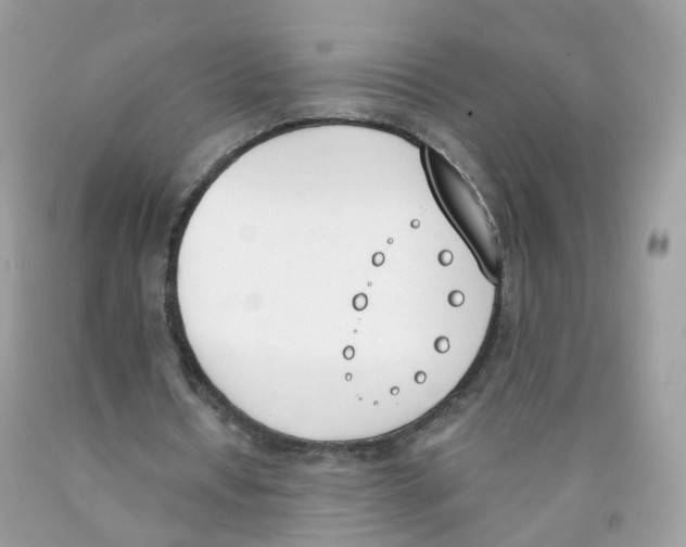 X0000089830434200707262027