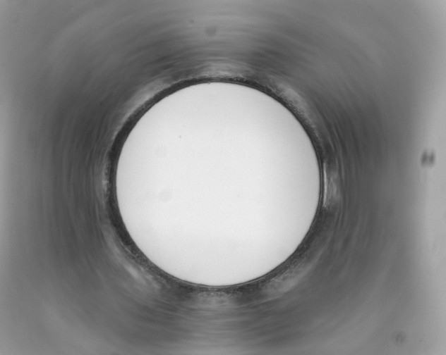 X0000089830435200707262027