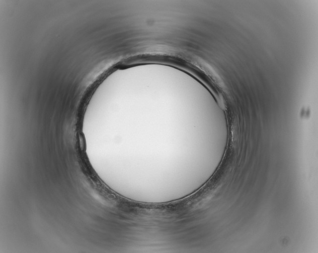 X0000089830436200707262027