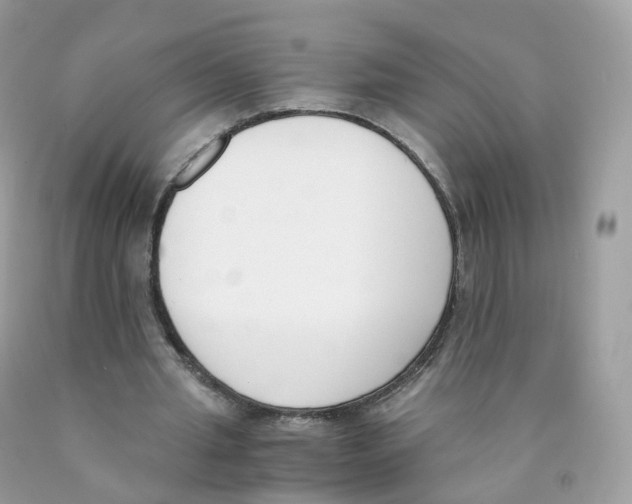 X0000089830437200707262027