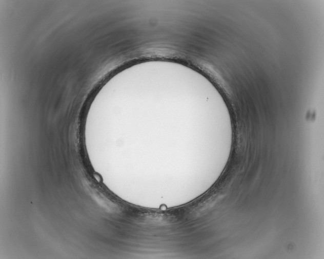 X0000089830439200707262027