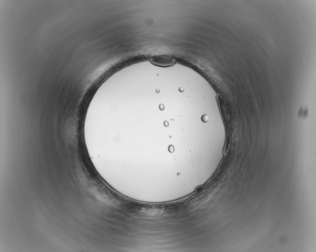 X0000089830440200707262027