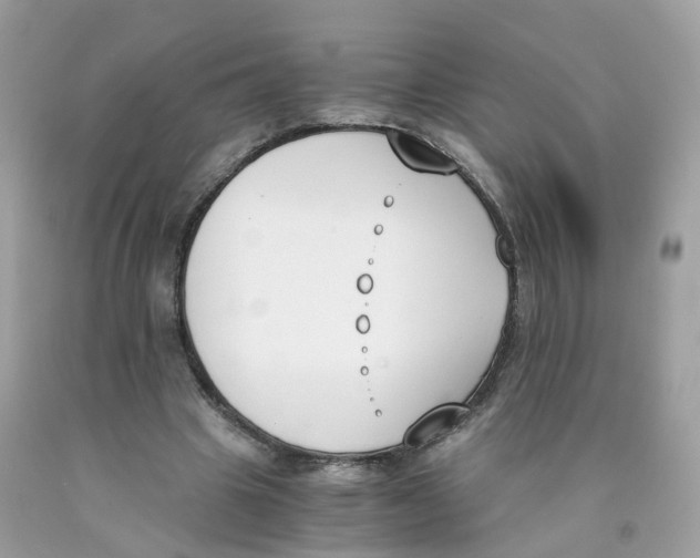 X0000089830441200707262027