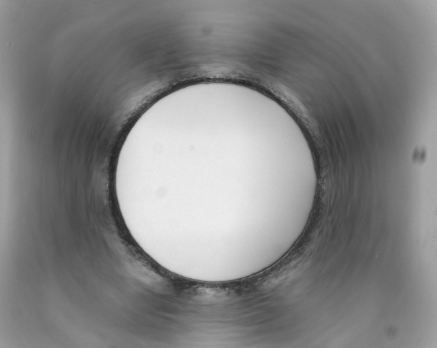 X0000089830442200707262027