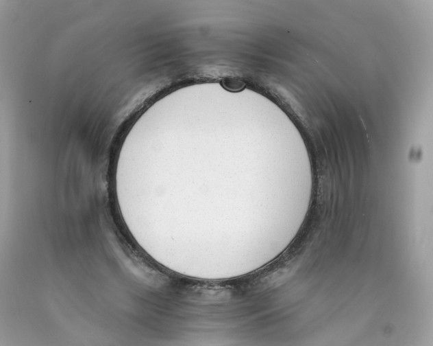 X0000089830443200707262027