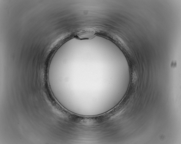 X0000089830444200707262027