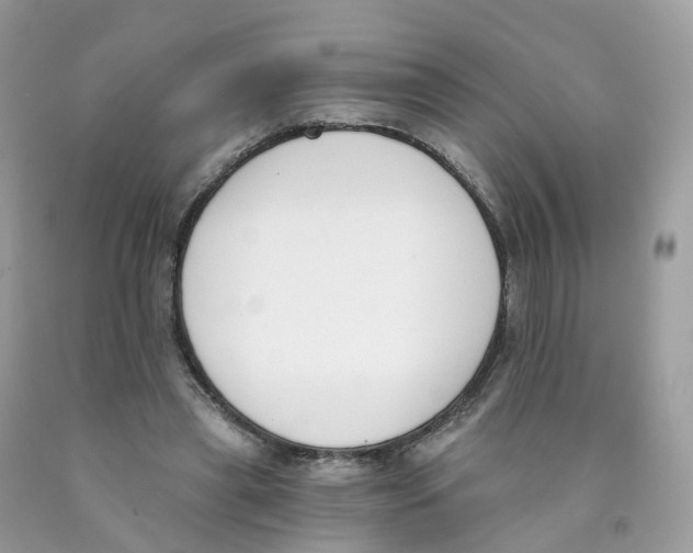 X0000089830445200707262027