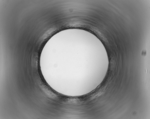 X0000089830446200707262027