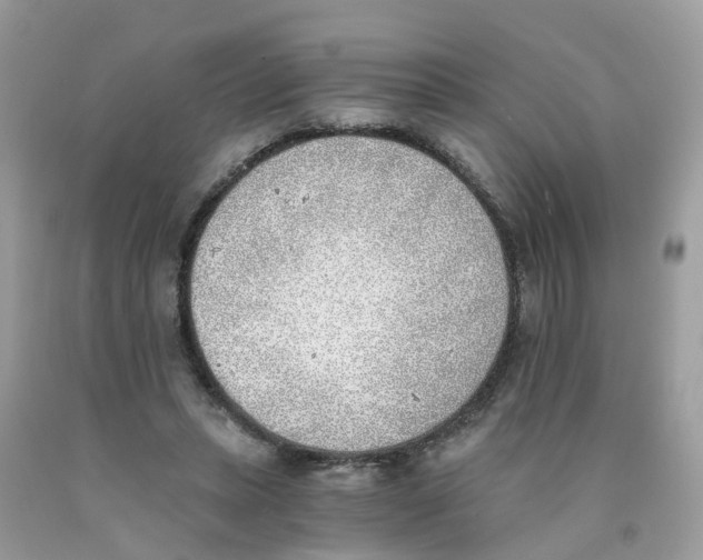 X0000089830447200707262027