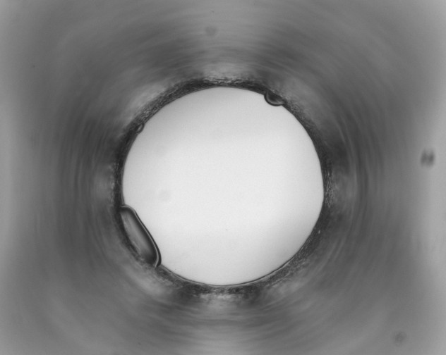 X0000089830448200707262027