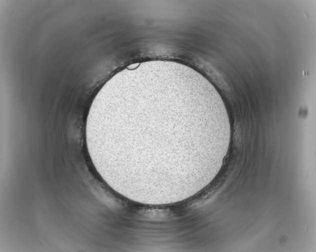 X0000089830449200707262027