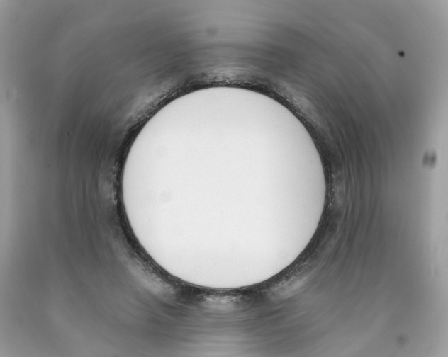X0000089830450200707262027