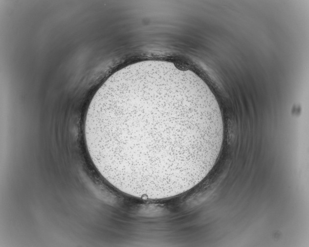X0000089830451200707262027