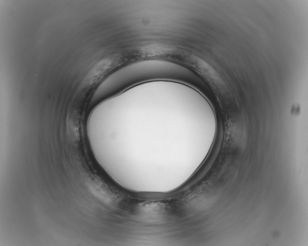 X0000089830452200707262027