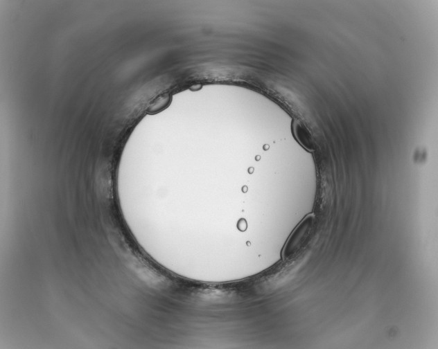 X0000089830453200707262027