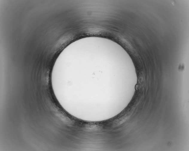 X0000089830454200707262027