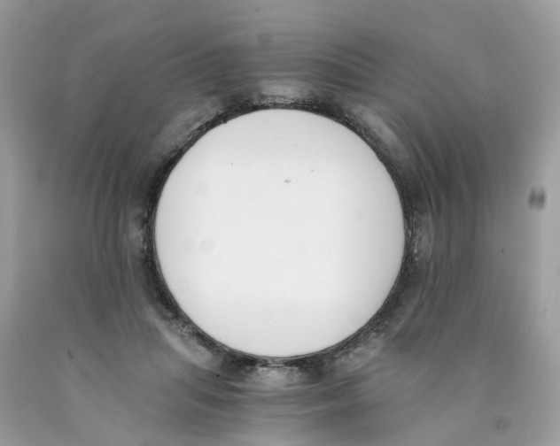 X0000089830455200707262027