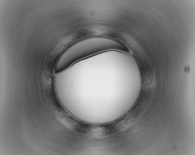 X0000089830456200707262027