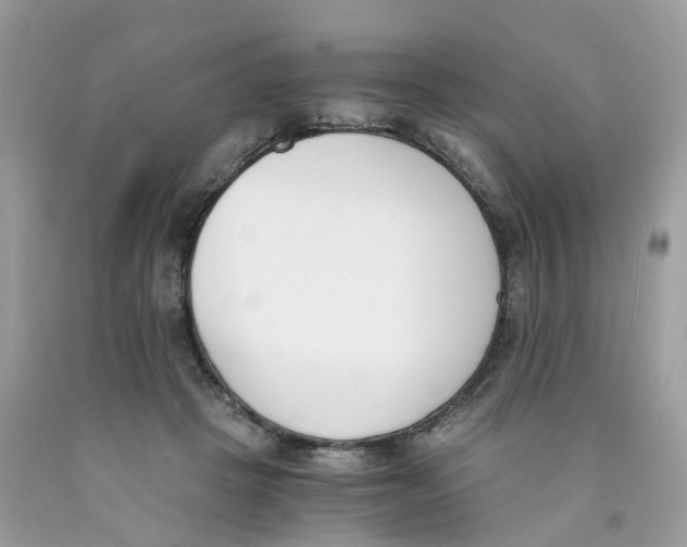 X0000089830457200707262027